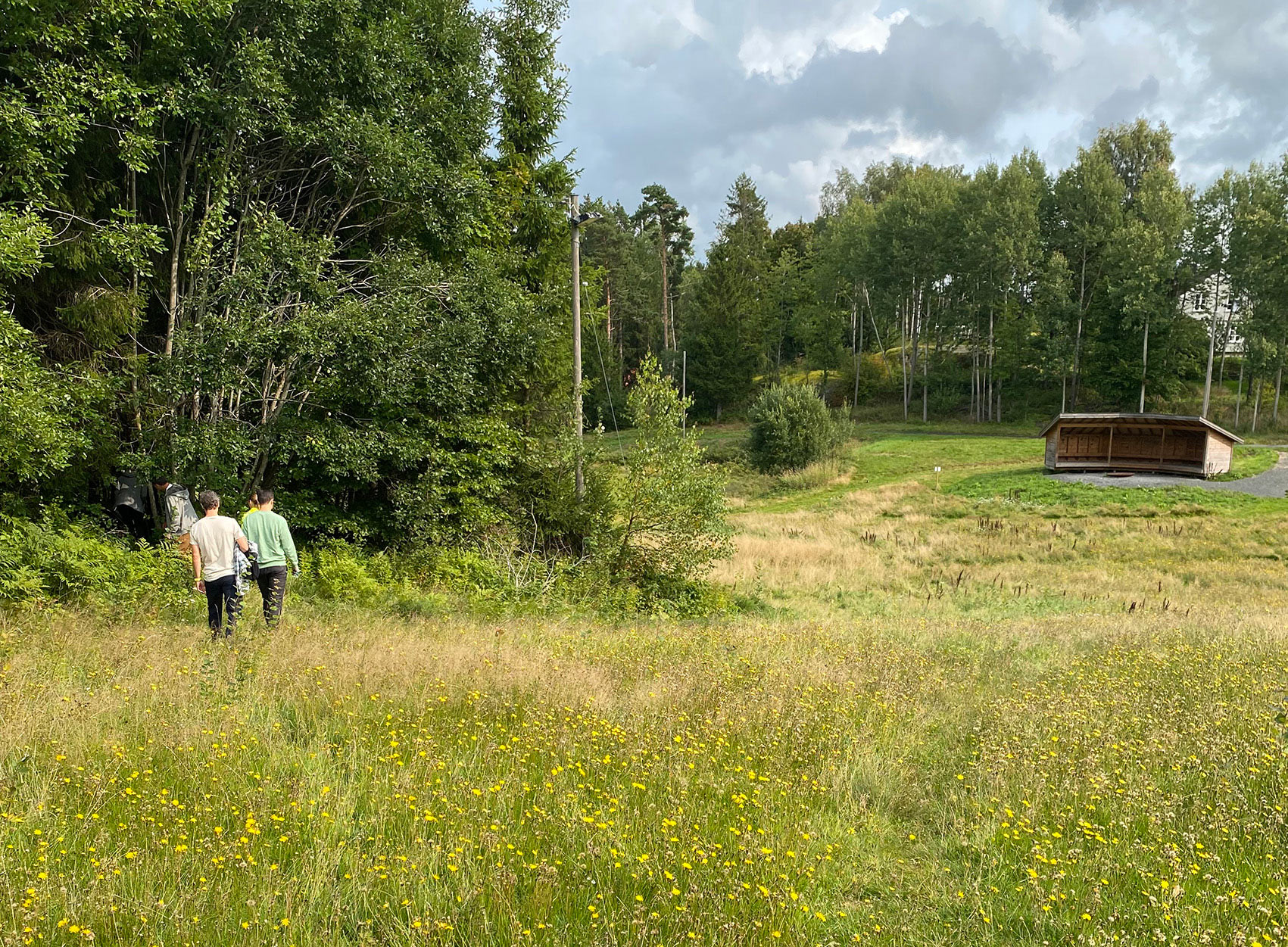 Fotografi fra området Hagadumpa. To unge mennesker går over en markblomstprydet gresslette, med skog i høyre kant av bildet.