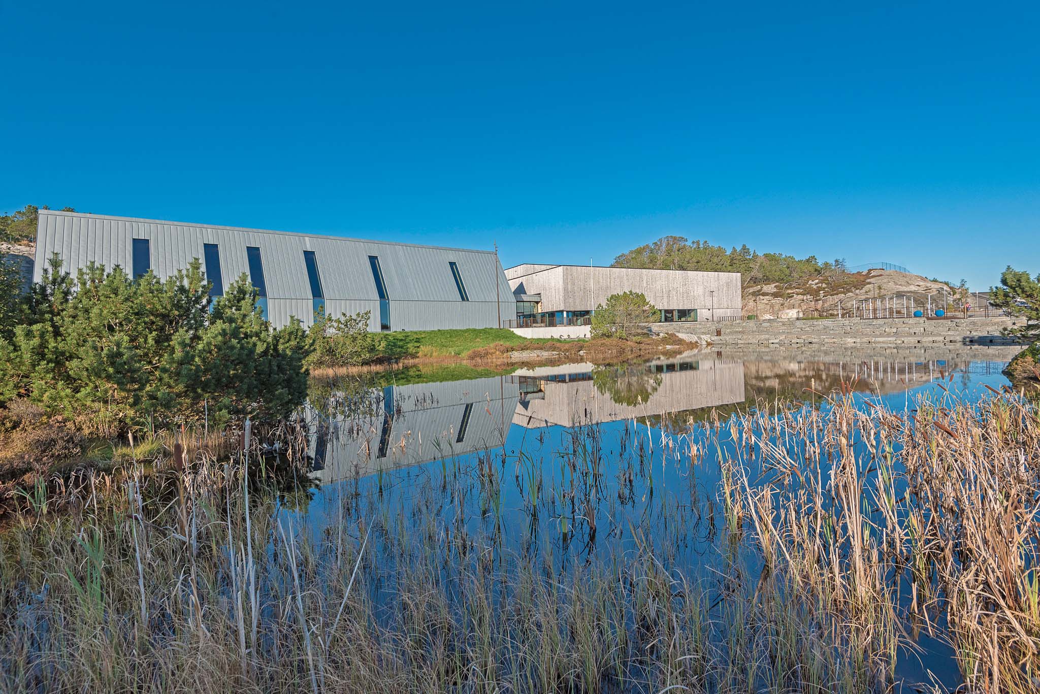 Tjernet ved Hjeltefjorden arena (foto: Ingrid Holm Andersen)