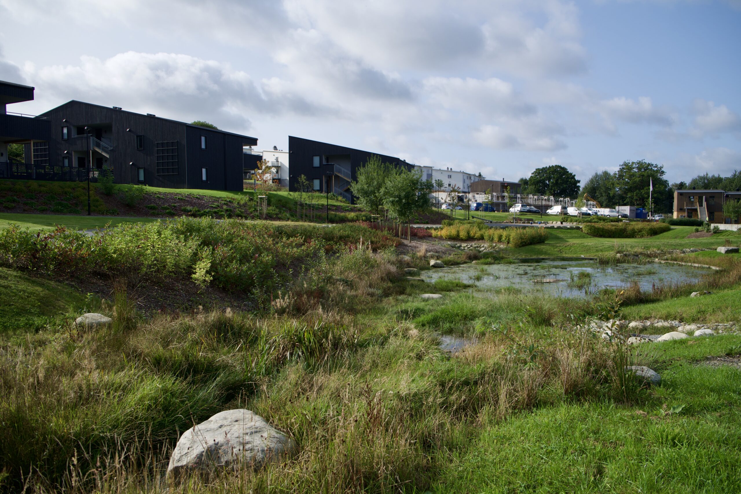 Bekkeåpning i grøntdrag ved boligområde