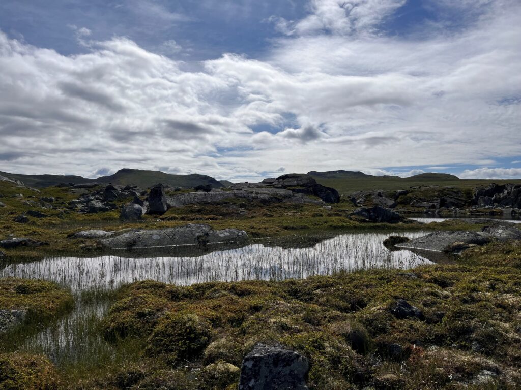 Naturlandskap fra Hardangervidda med et lite vann, stein, mose og fjell i bakgrunnen