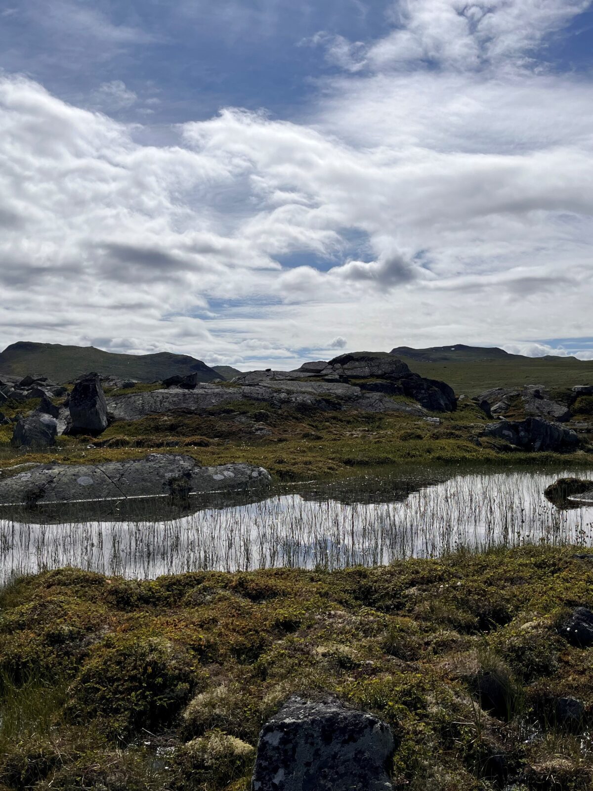 Utvikler verktøy for å ta vare på natur