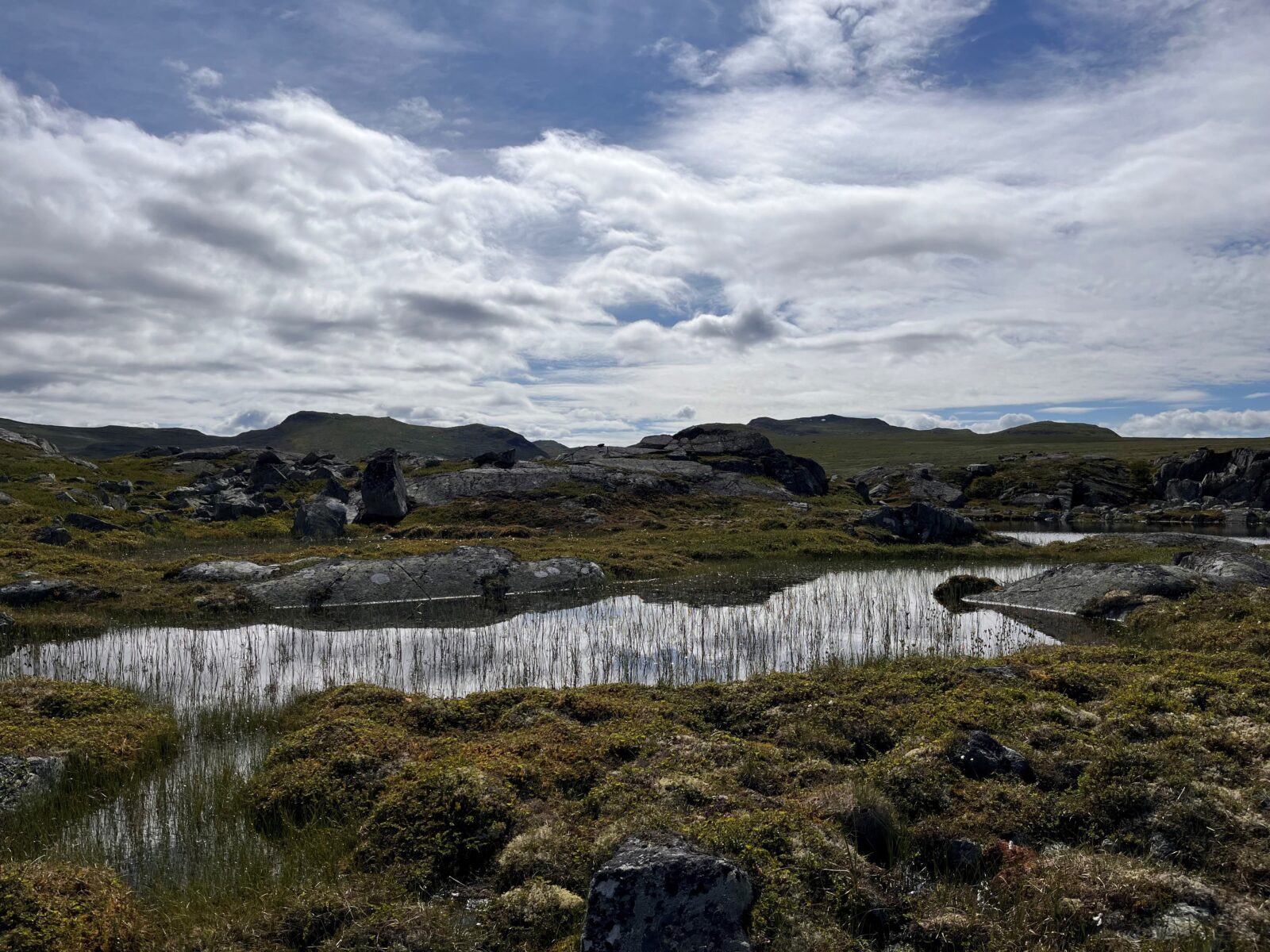 Utvikler verktøy for å ta vare på natur