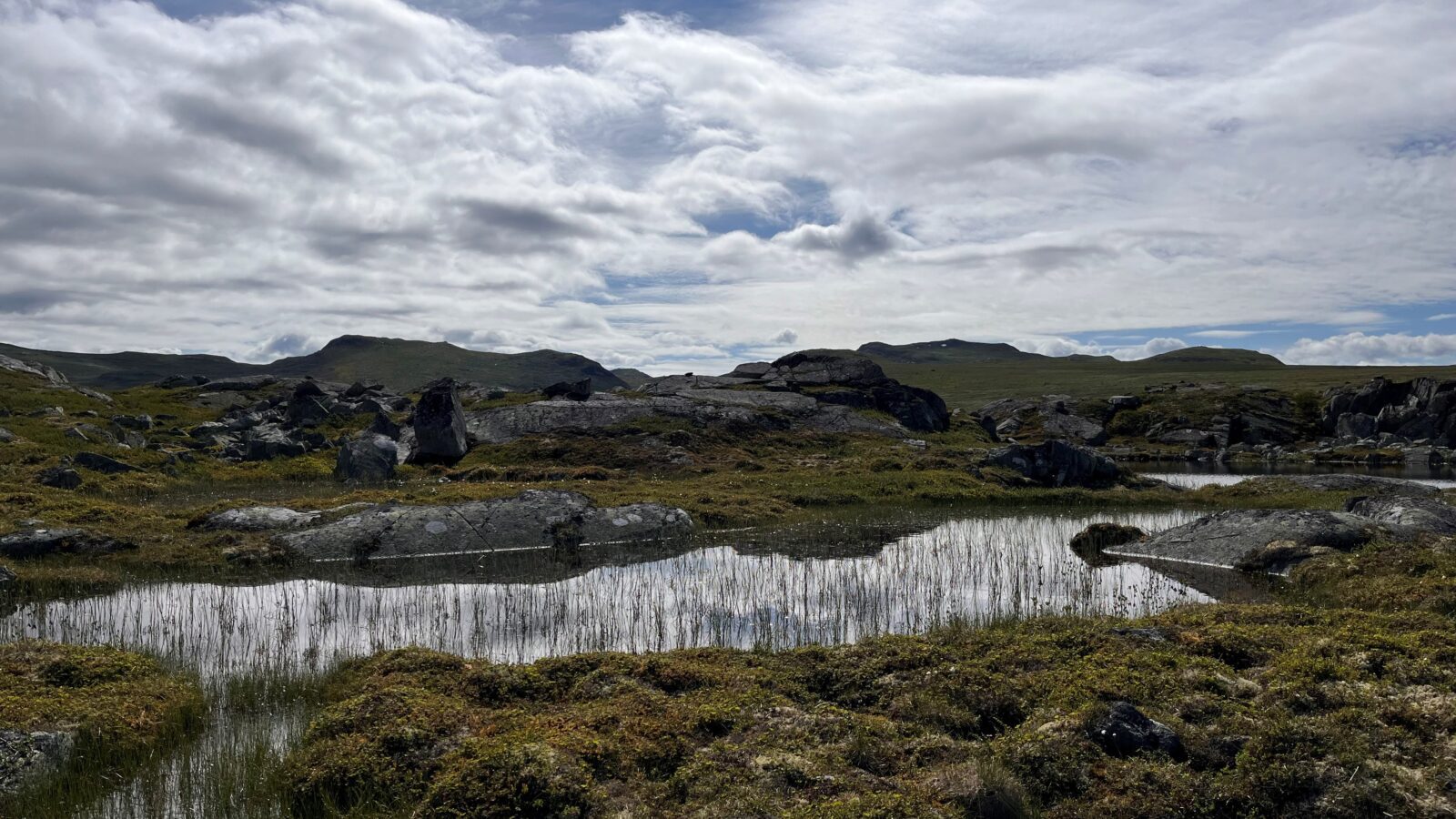 Naturlandskap fra Hardangervidda med et lite vann, stein, mose og fjell i bakgrunnen